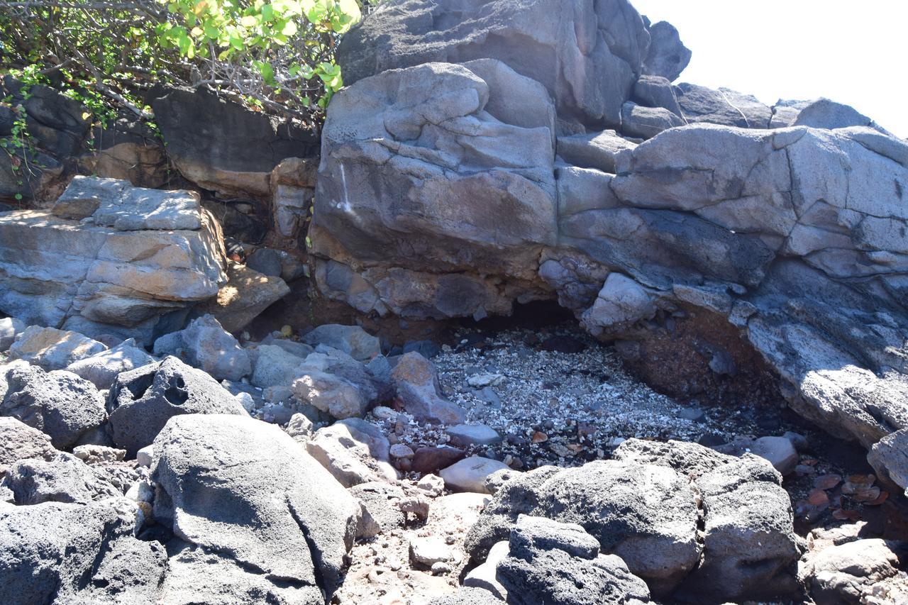 Corail Azur Terre Sainte Daire Dış mekan fotoğraf